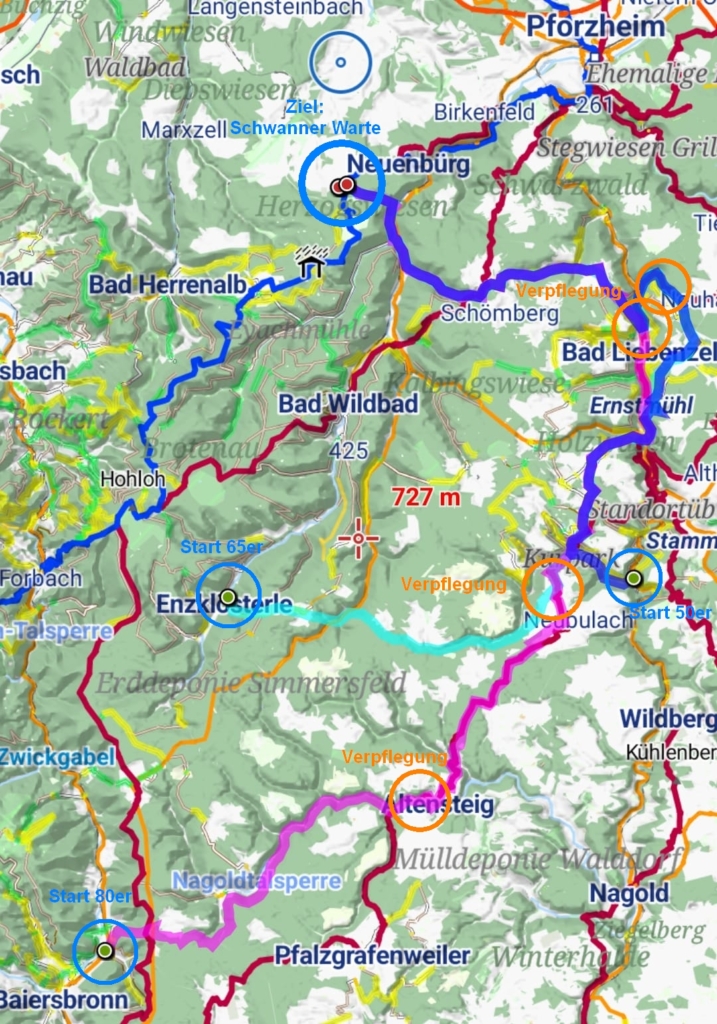 Lauf zur Schwanner Warte – Übersicht