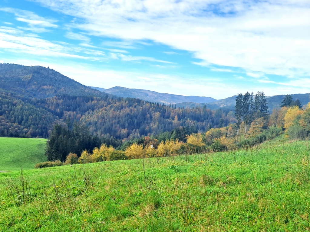 Bild 2 Schwarzwaldverein in Mai 2025