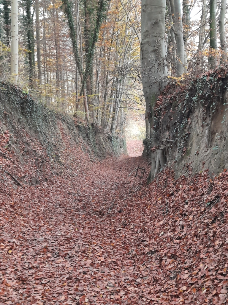 KE-Tageswanderung2026