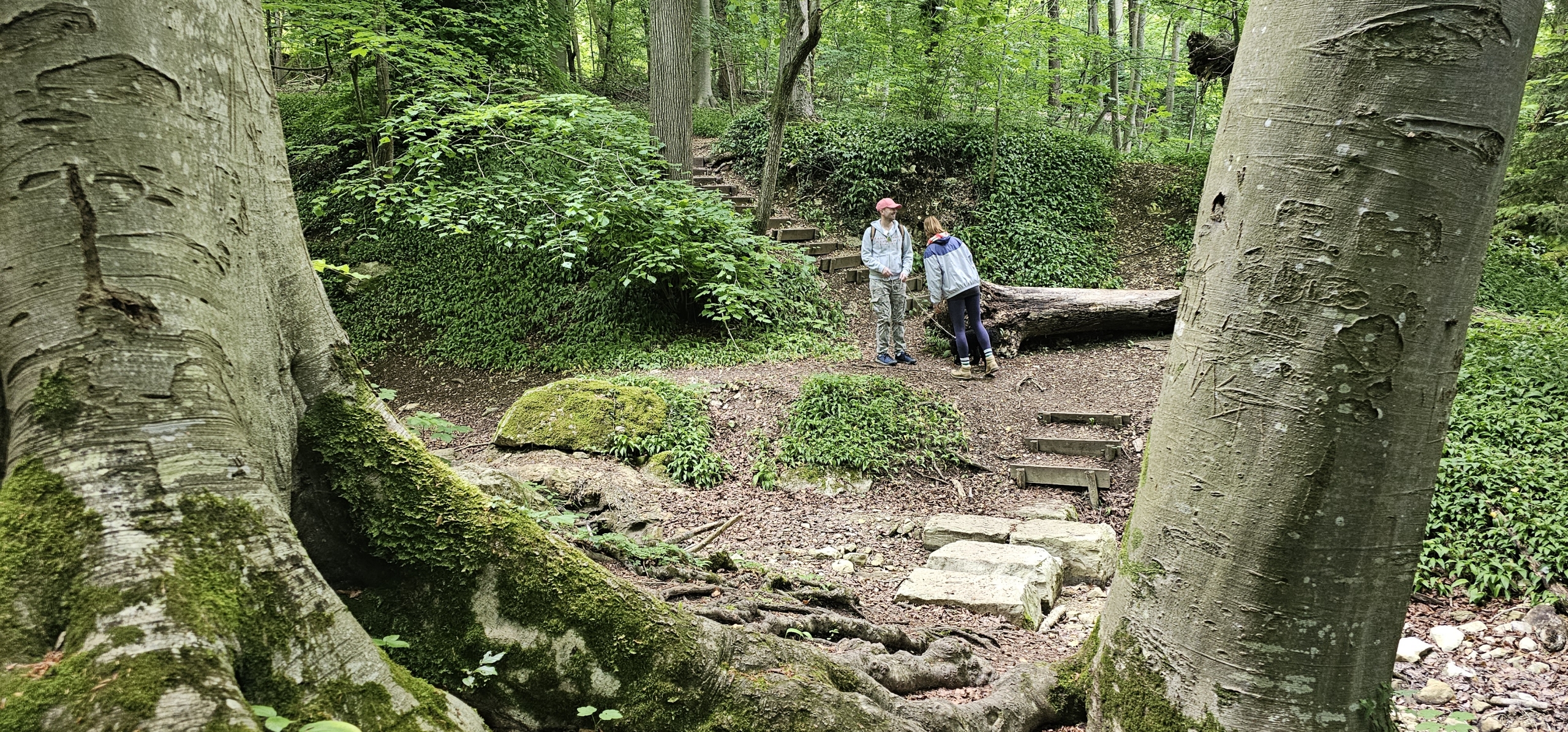 20250524_115459 – Kopie