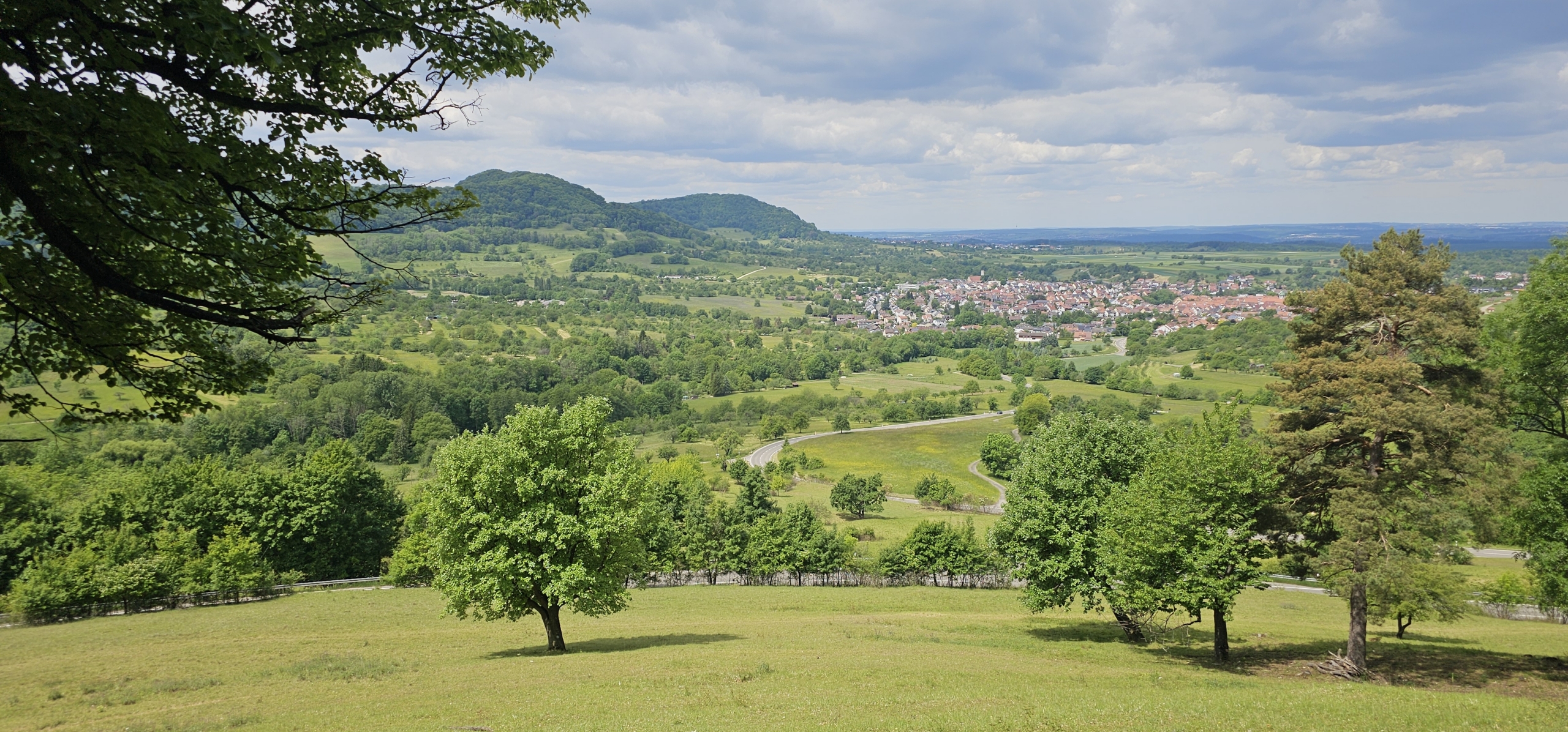 20250524_120822 – Kopie